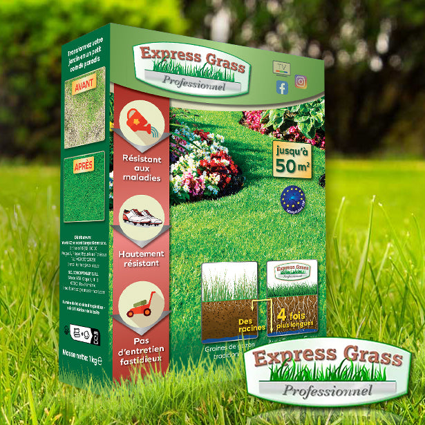 Express Grass Professionnel Europa Green Czechia