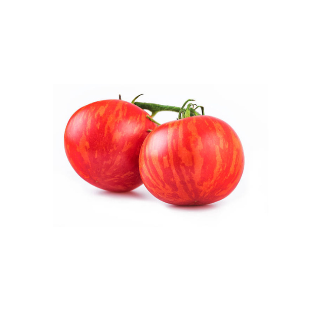 Sada rajčat PREMIUM