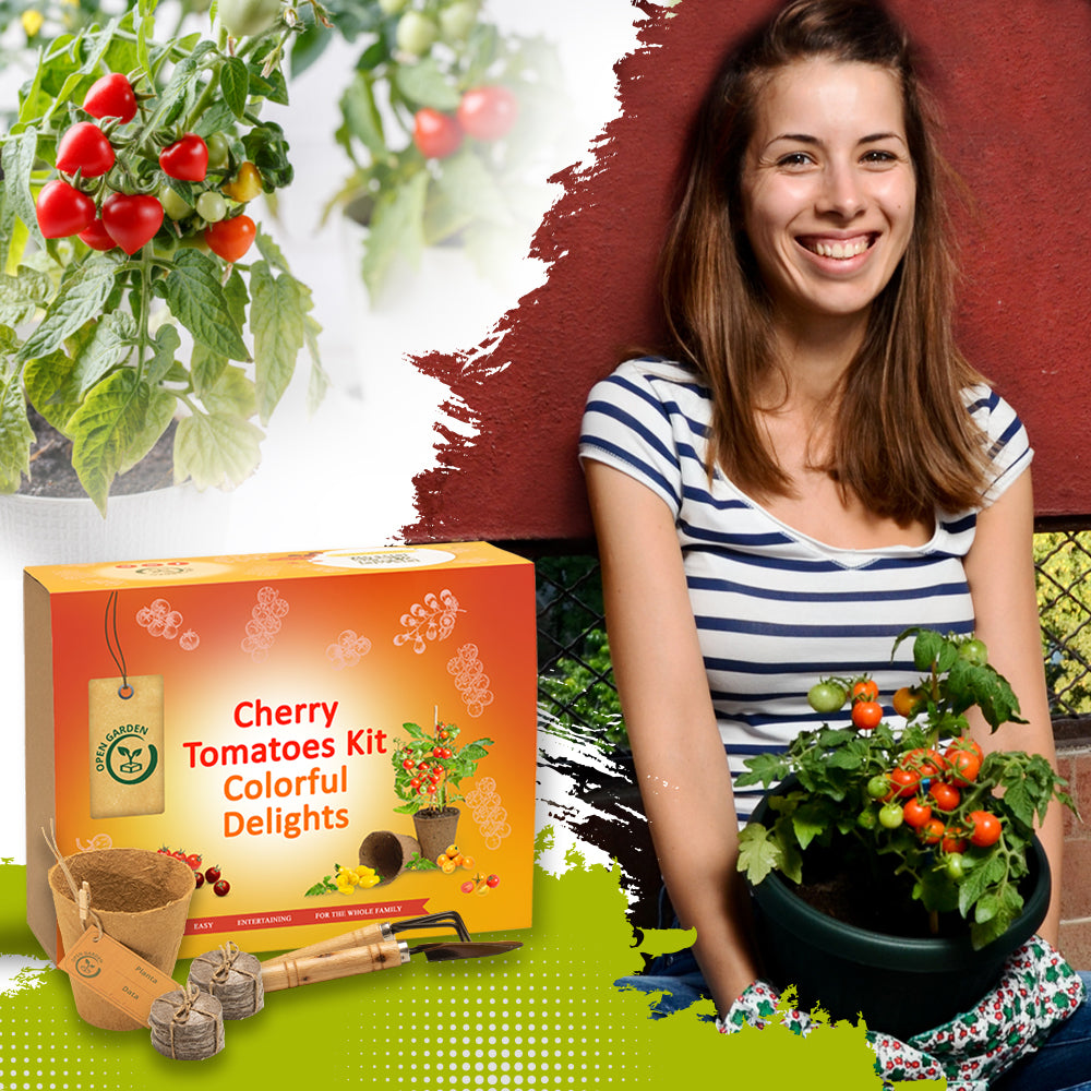 Cherry rajčata Barevná pochoutka