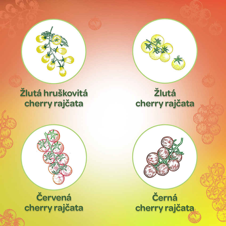 Cherry rajčata Barevná pochoutka