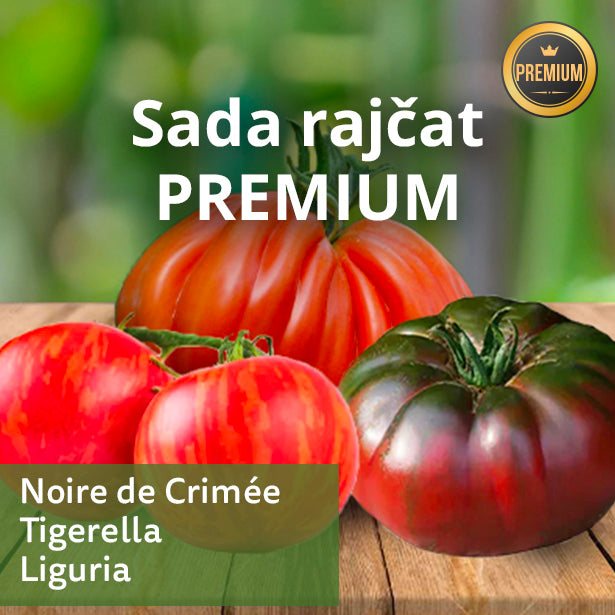 Sada rajčat PREMIUM