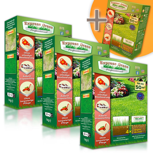 Express Grass Professionnel - 3 krabice na 200 m² + 1 balení ZDARMA