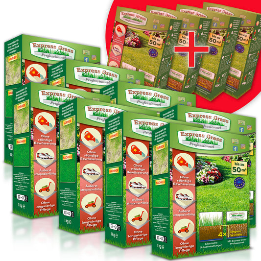 Express Grass Professionnel - 8 krabic na 600 m² + 4 balení ZDARMA