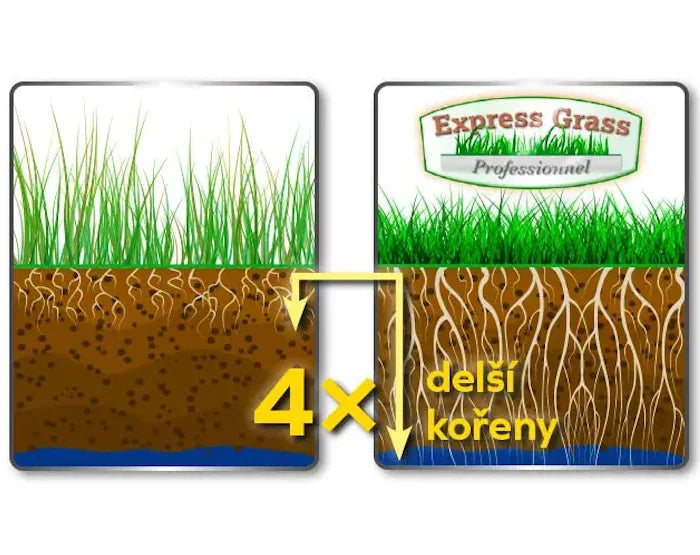 Express Grass Professionnel - 1 krabice na 50 m²