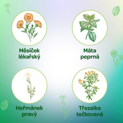 Léčivé rostliny Zdravé Esence