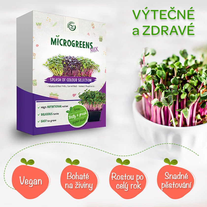 Barevný výběr Microgreens