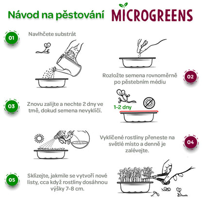 Barevný výběr Microgreens