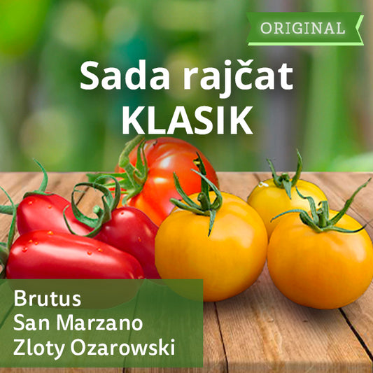 Sada rajčat KLASIK